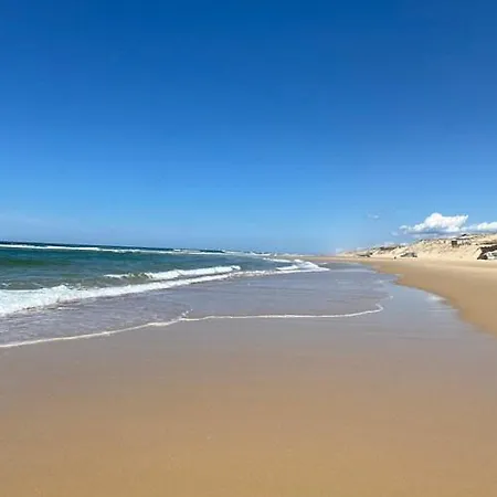 Maison Arcachonnaise 5 5 Minutes De La Hébergement de vacances Arcachon